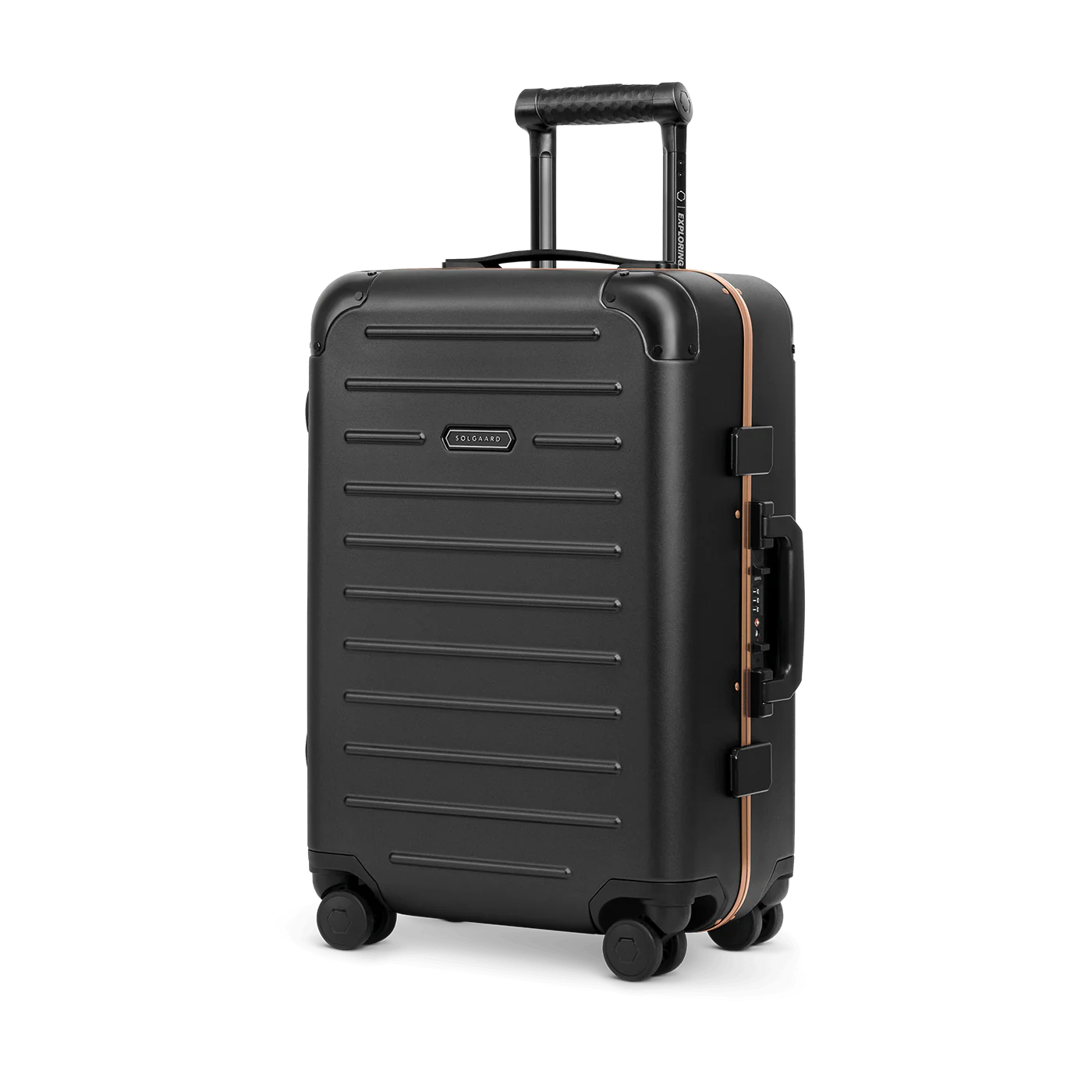 [DEV] Carry-On Closet Original - Precious Metals - Image 87